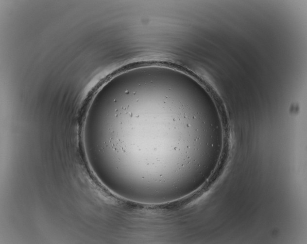 X0000112900781200908281724