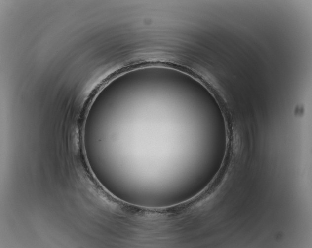 X0000112900782200908281724