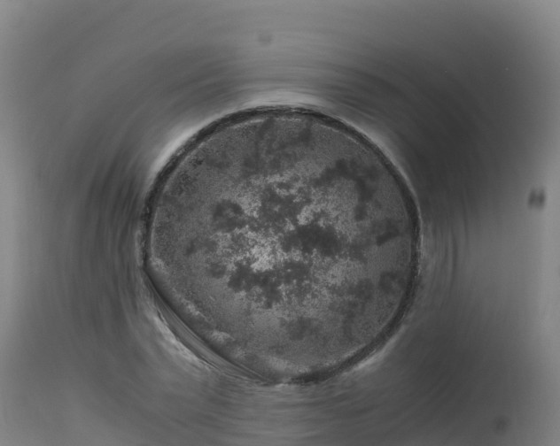 X0000112900783200908281724