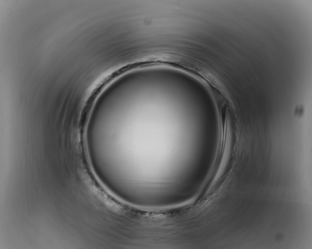 X0000112900784200908281724