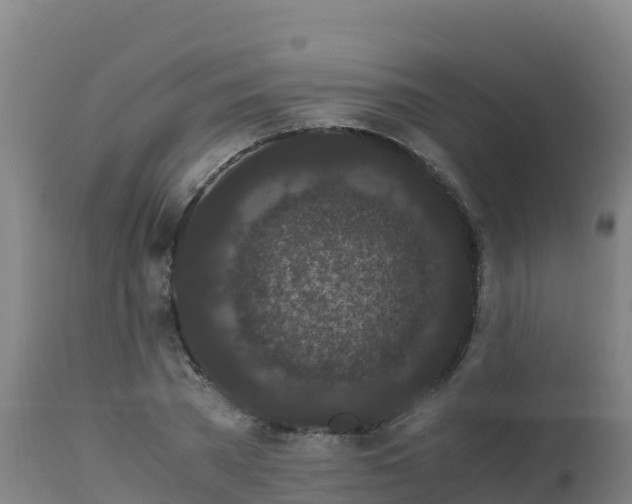 X0000112900785200908281724