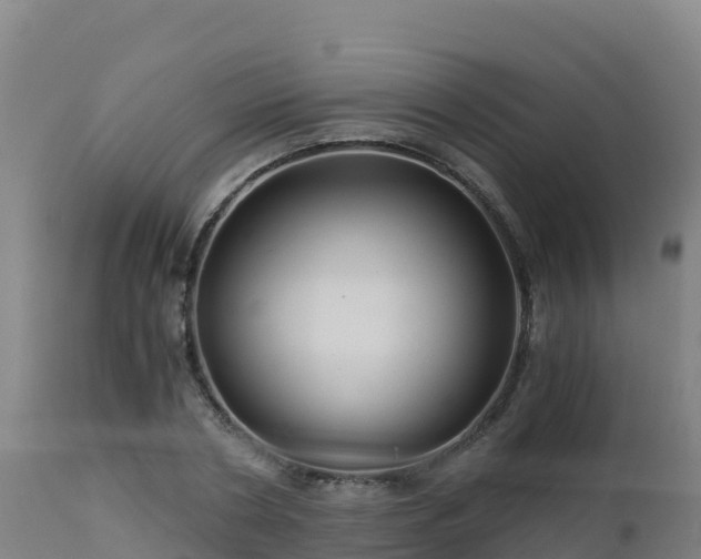 X0000112900786200908281724