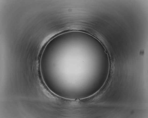 X0000112900787200908281724