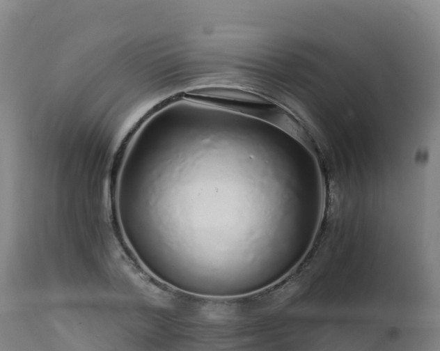 X0000112900788200908281724