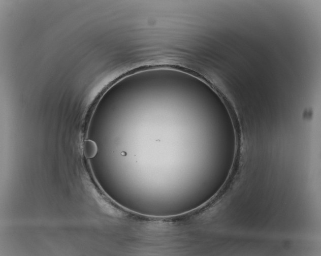 X0000112900789200908281724