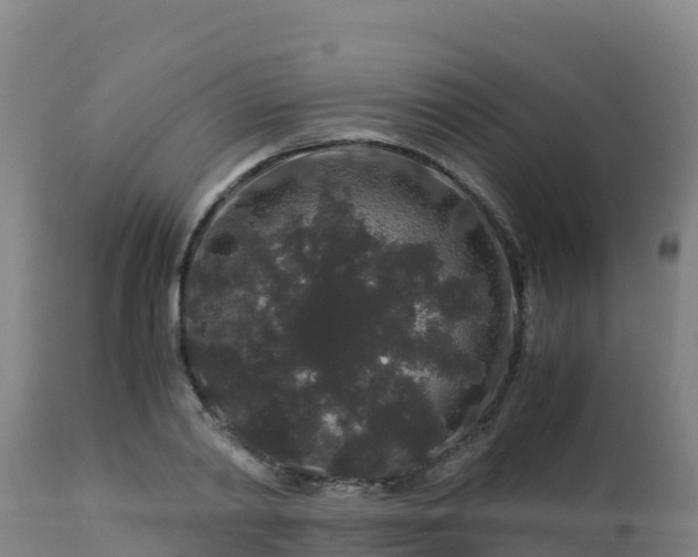 X0000112900790200908281724