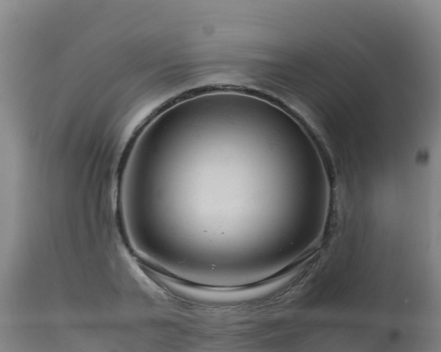 X0000112900791200908281724