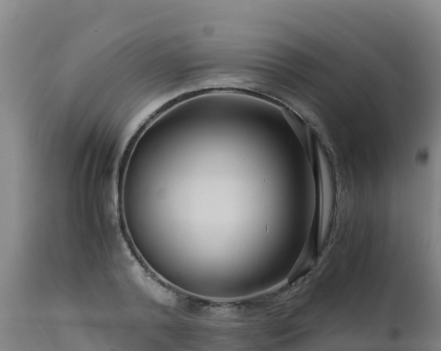 X0000112900792200908281724