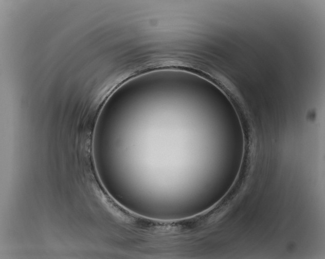 X0000112900793200908281724