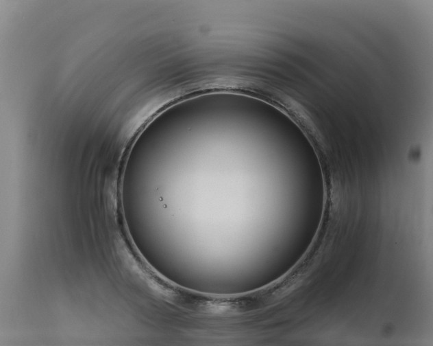 X0000112900794200908281724