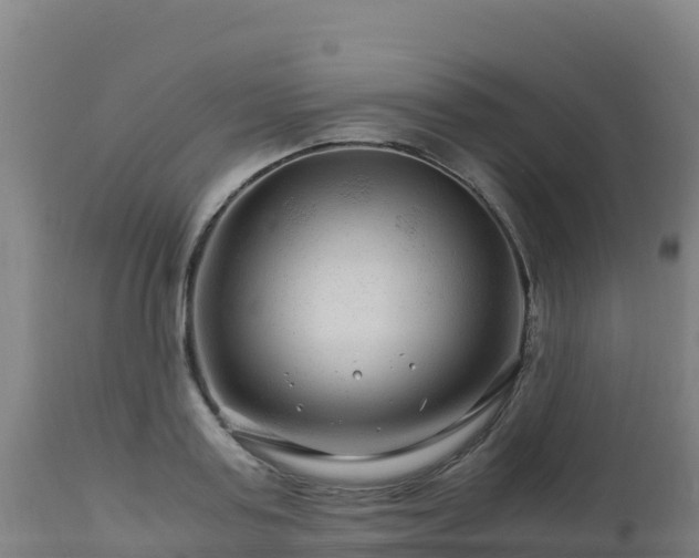 X0000112900795200908281724