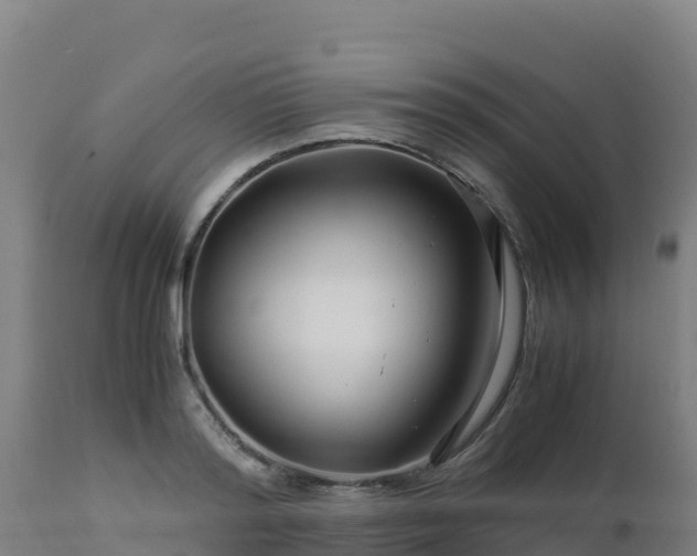 X0000112900796200908281724