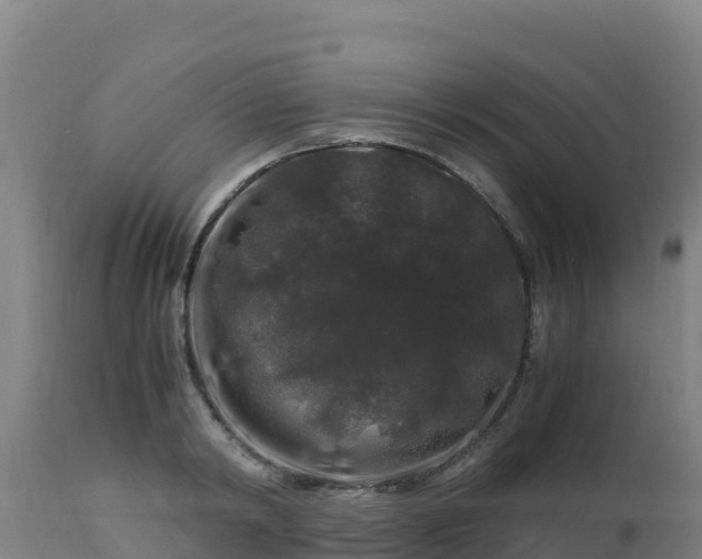 X0000112900798200908281724