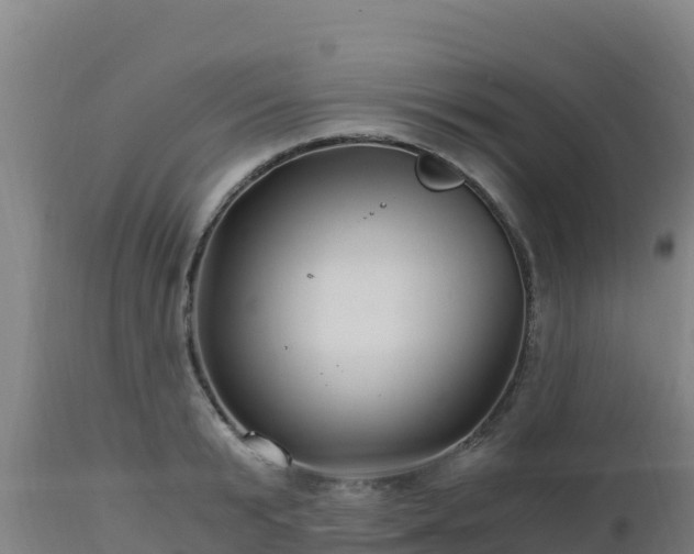 X0000112900799200908281724