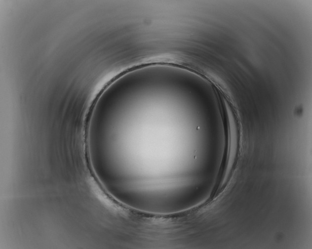 X0000112900800200908281724