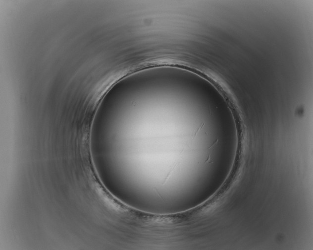 X0000112900801200908281723