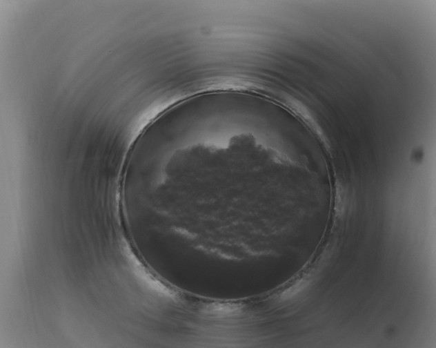 X0000112900802200908281723