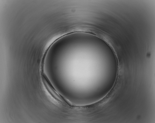 X0000112900803200908281723