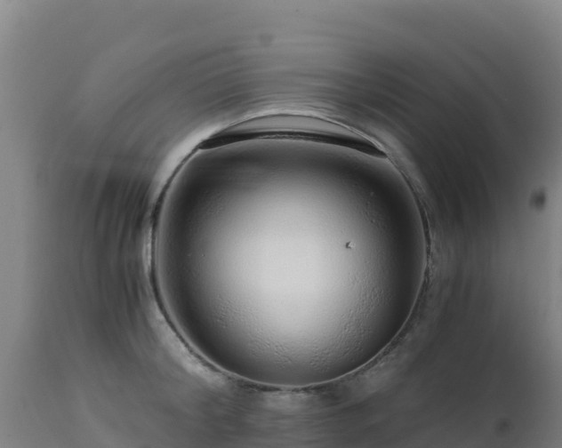 X0000112900804200908281723