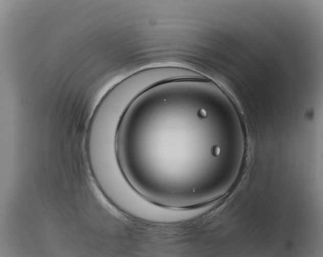 X0000112900805200908281723