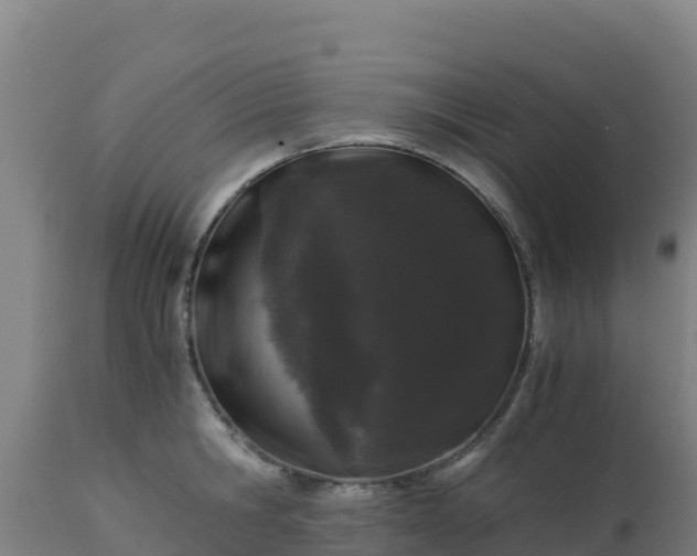 X0000112900806200908281723