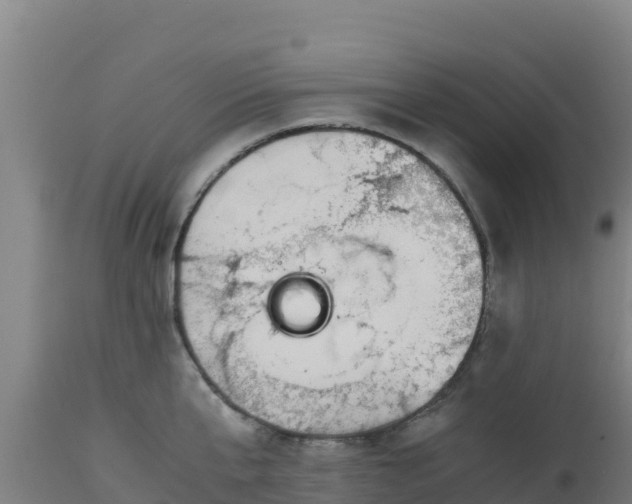 X0000112900807200908281723