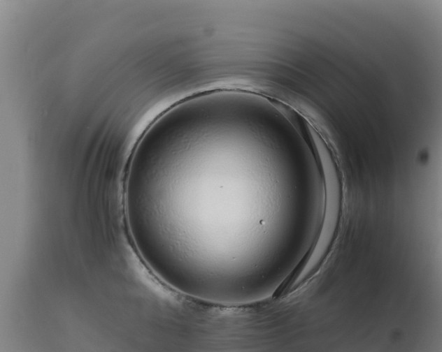 X0000112900808200908281723