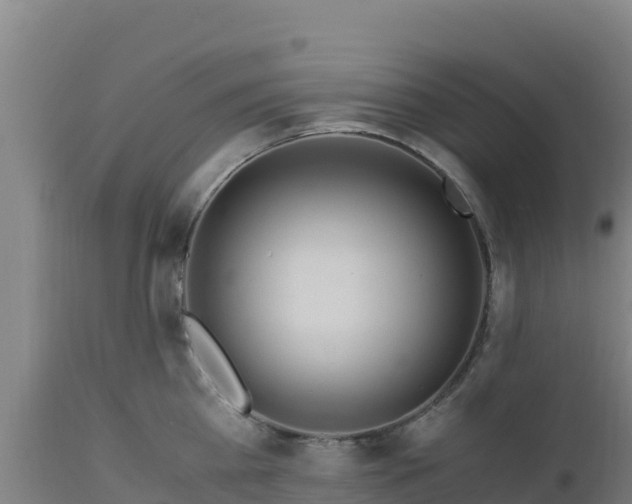 X0000112900809200908281723