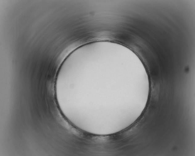 X0000112900810200908281723