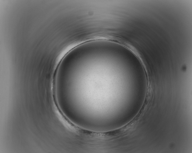 X0000112900811200908281723