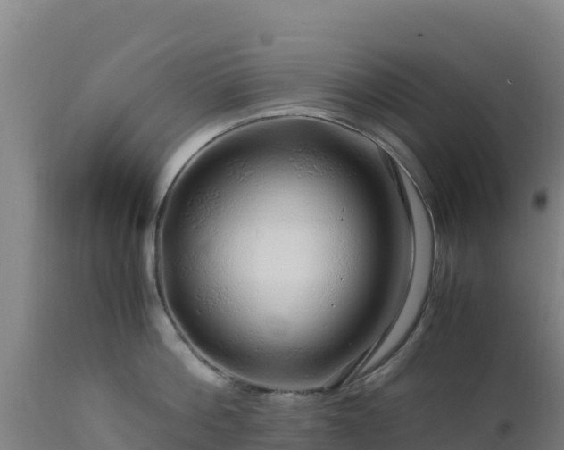 X0000112900812200908281723