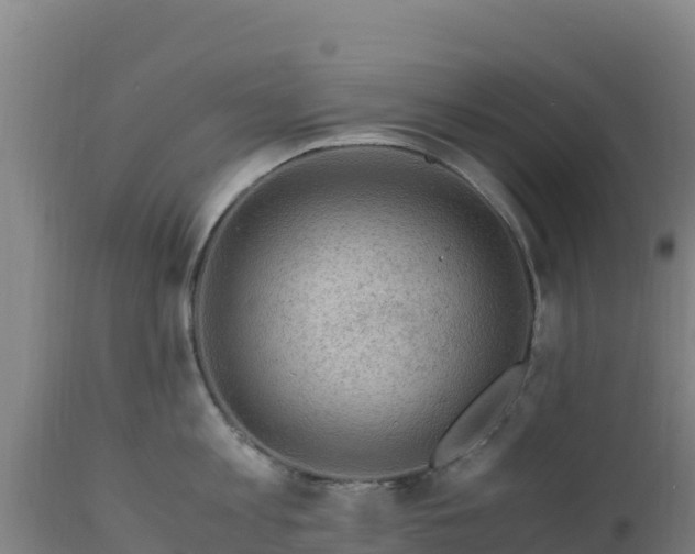 X0000112900813200908281723