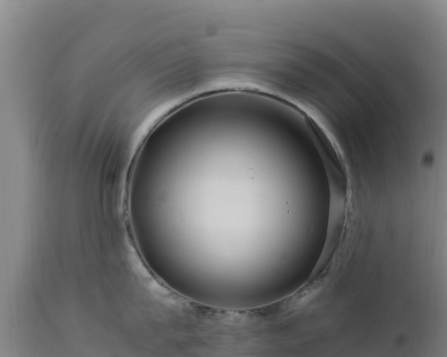 X0000112900815200908281723