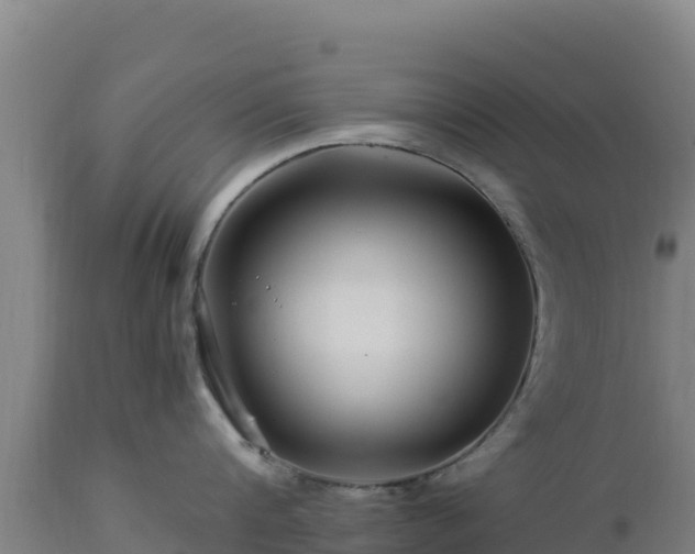 X0000112900816200908281723