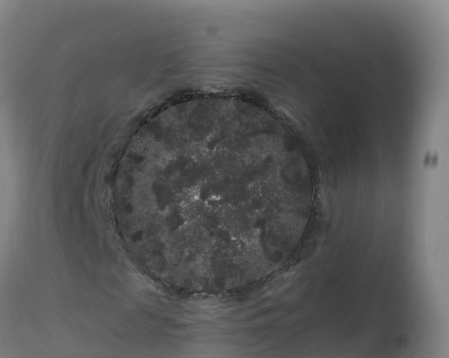 X0000112900817200908281723