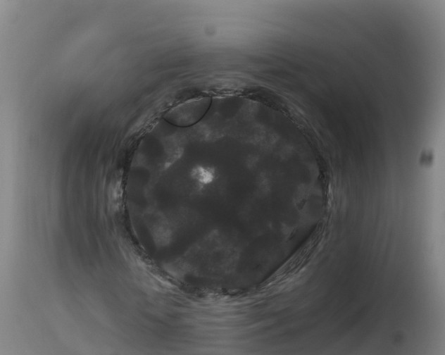 X0000112900818200908281723