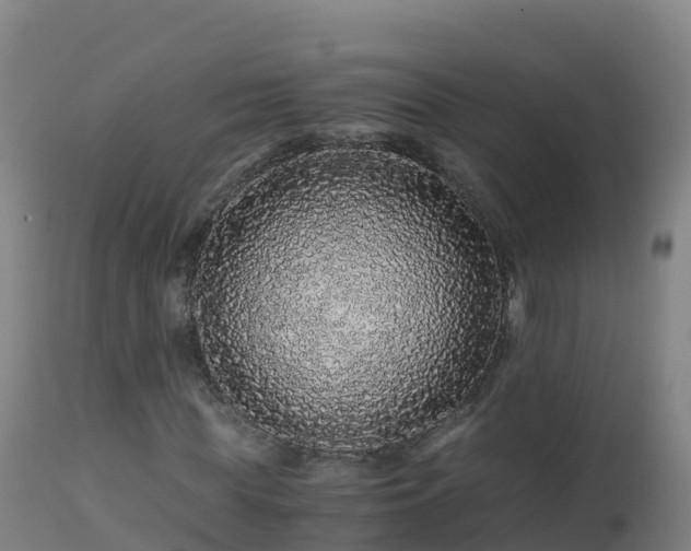 X0000112900819200908281723