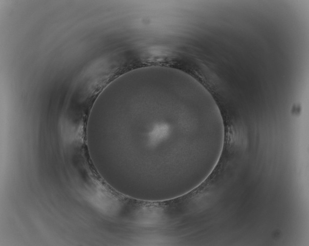 X0000112900820200908281723