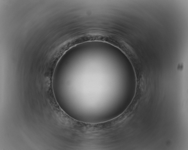 X0000112900821200908281723