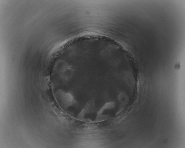 X0000112900822200908281723