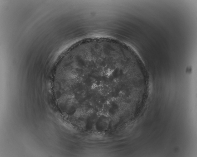 X0000112900823200908281723