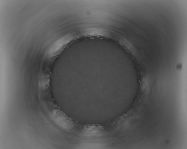 X0000112900824200908281723