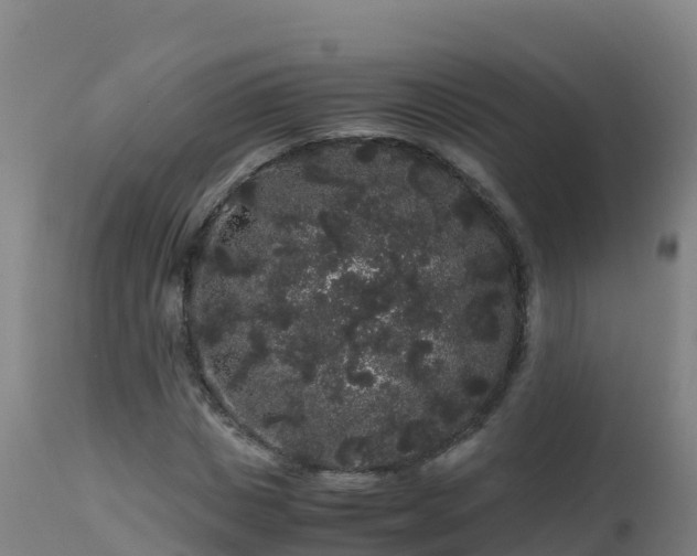 X0000112900825200908281723