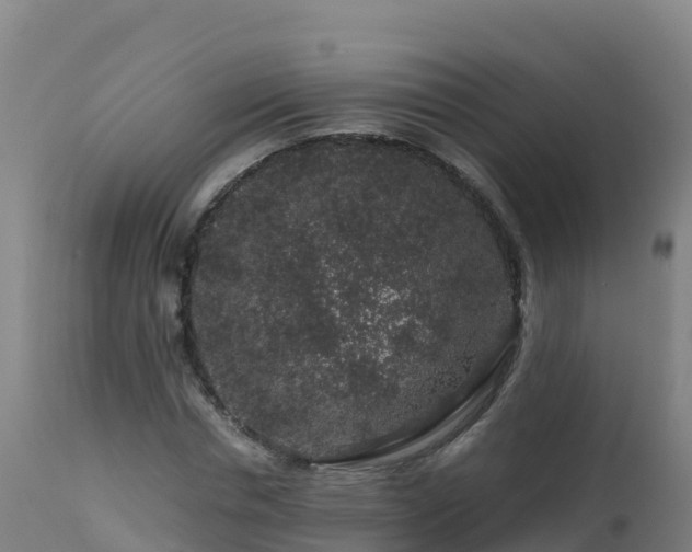 X0000112900826200908281723