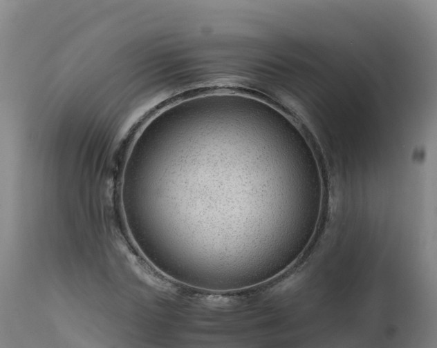 X0000112900827200908281723