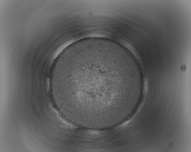 X0000112900829200908281723