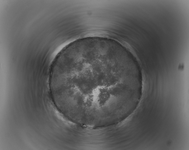 X0000112900830200908281723