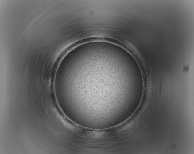 X0000112900831200908281723