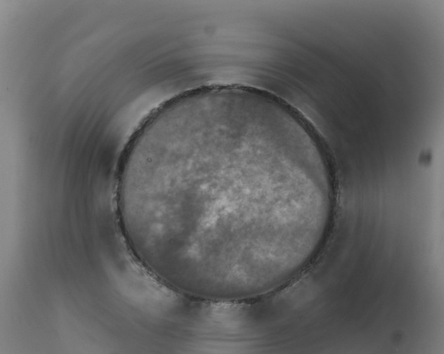 X0000112900832200908281723