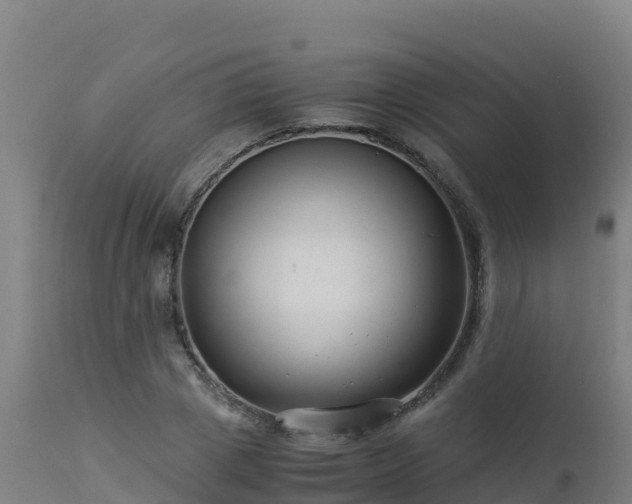 X0000112900833200908281723